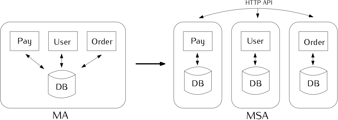 MA와 MSA 구조
