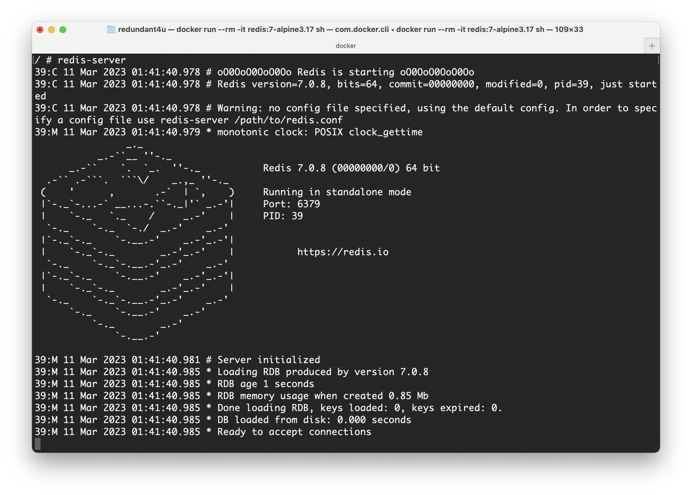 redis-server 실행 시 나오는 출력물
